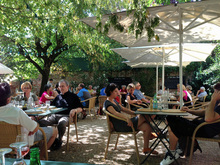 cecil.jpgのサムネイル画像