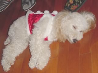 �N���X�}�X2