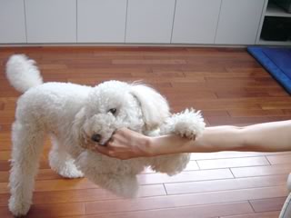 ���݊��݃A�\�r