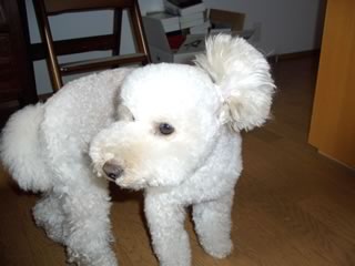 �S��������