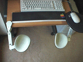 �G���S���X�g�̎ʐ^3